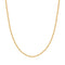 Gold Shiny Curb Necklace